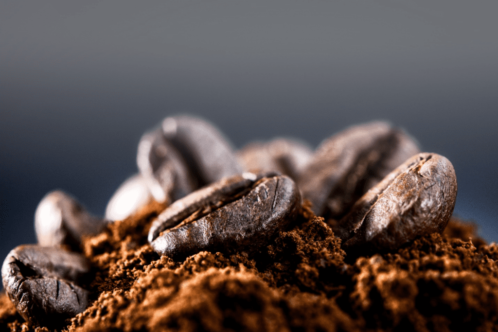 Best Roasted Coffee Beans