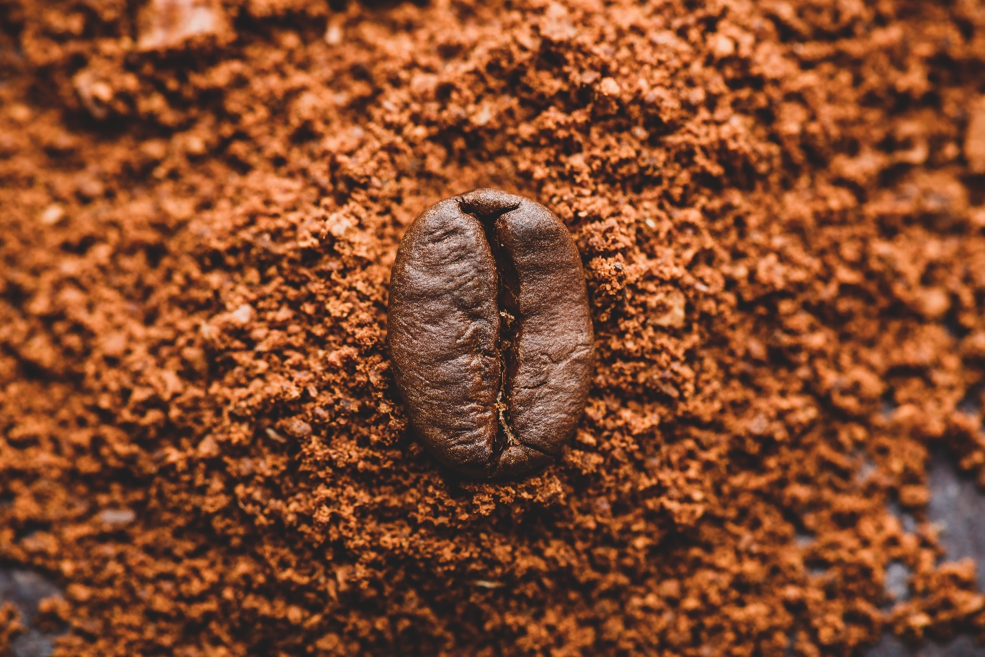 Roasted Organic Coffee Beans