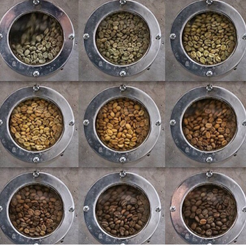 Coffee beans with different roast levels by High Noon Roasters