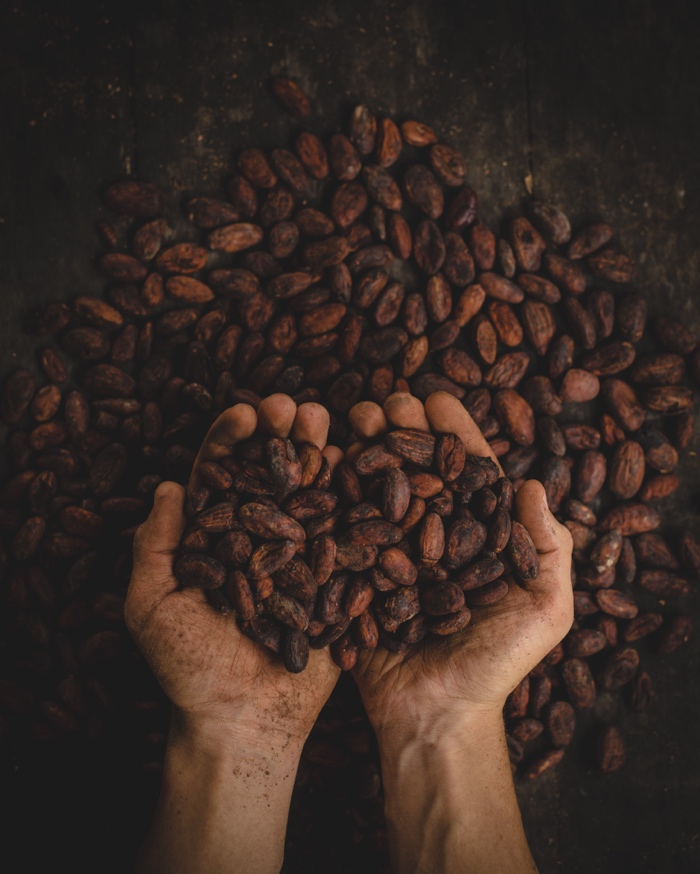 Holding Coffee Beans